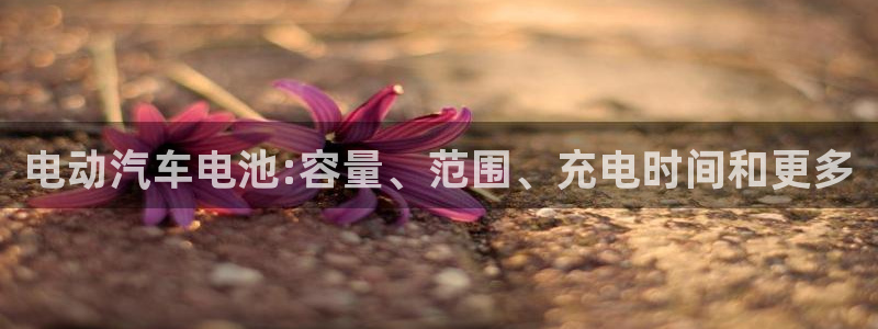 优发国际平台18