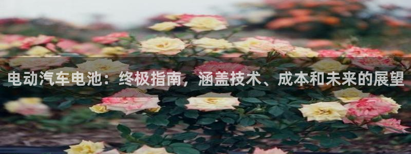 优发国际官网手机号