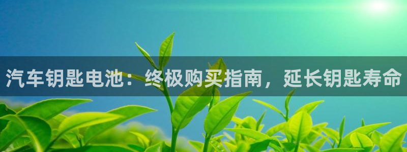 优发国际游戏