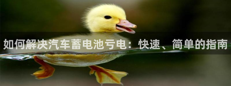 优发国际手机客户端下载安卓