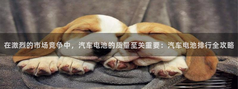 优发国际手机版下载