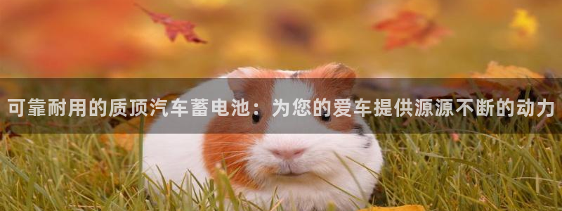 优发国际官网网站