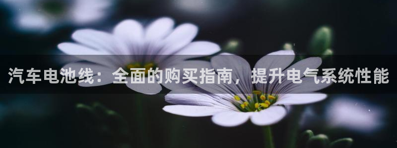 优发国际安卓版下载安装教程