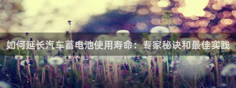 优发国际vip网址