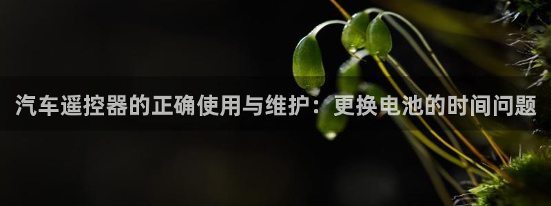 优发国际手机app下载地址