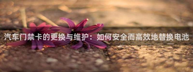 优发国际多少