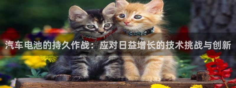 优发国际登录首页官网